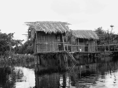 Manglar La Tovara